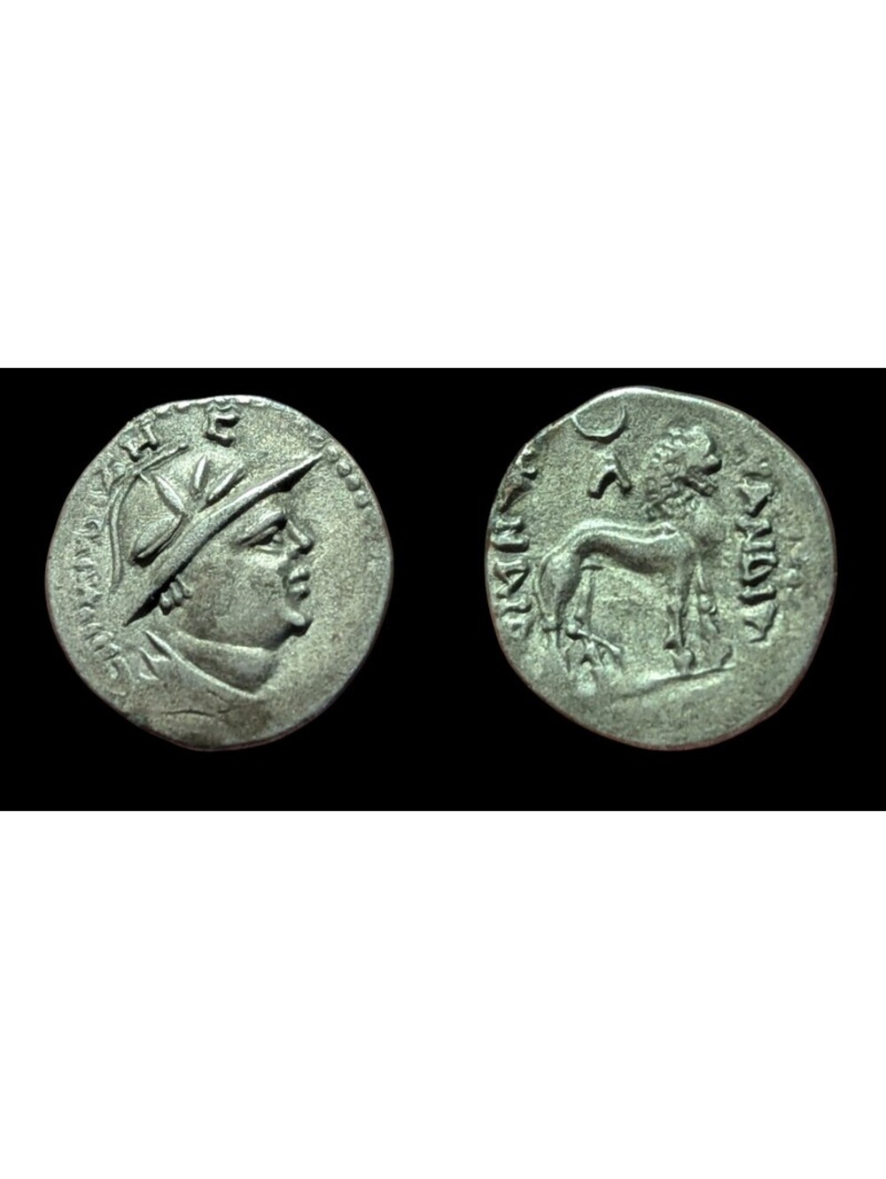 YUEZHI (YUEH-CHI): Sapadbizes, late 1st century BC. AR Drachm